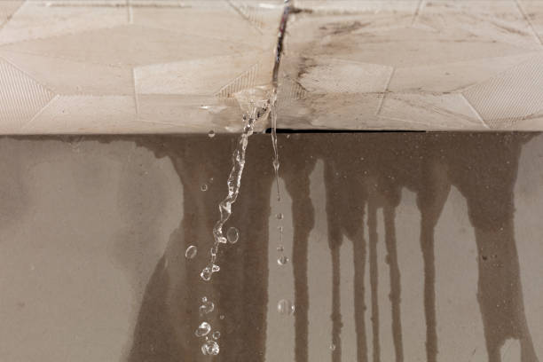 Professional Water Damage Repair technician working in Red Oak, TX